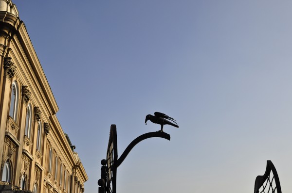 ...das königliche Schloss, heute Nationalgalerie,... ...das königliche Schloss, heute Nationalgalerie,...
