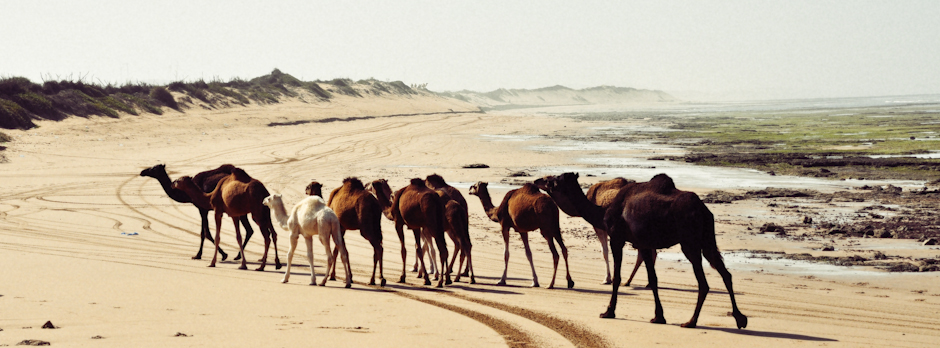 Ein Kurztrip in den Orient: Marokko